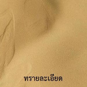 ทรายละเอียด